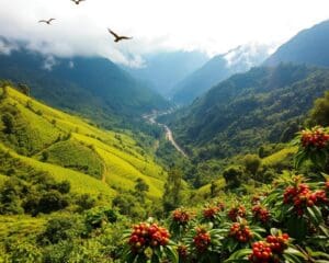 Boquete: Abenteuer und Kaffee in den Bergen Panamas