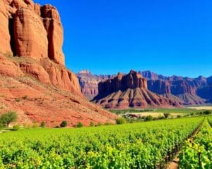 Cafayate: Weinberge und rote Felsenlandschaften in Argentinien