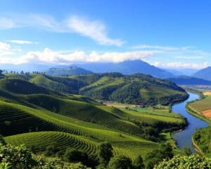 Chulumani: Yungas-Landschaft und Kaffeekultur in Bolivien