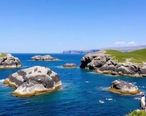 Pisco: Pinguin-Inseln und Nationalreservat in Peru