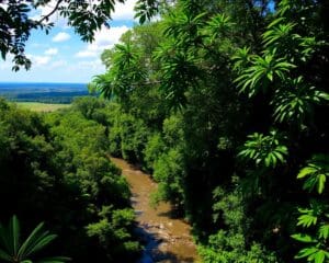 Rurrenabaque: Dschungeltouren und Pampas in Bolivien