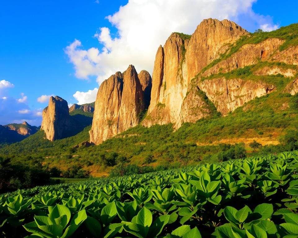 Vinales Landschaft mit Kalksteinfelsen