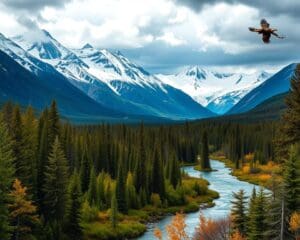 Wildnisabenteuer im Yukon-Territorium, Kanada