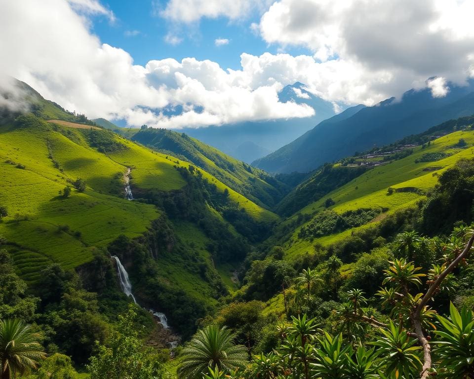 Yungas-Landschaft Chulumani Bolivien