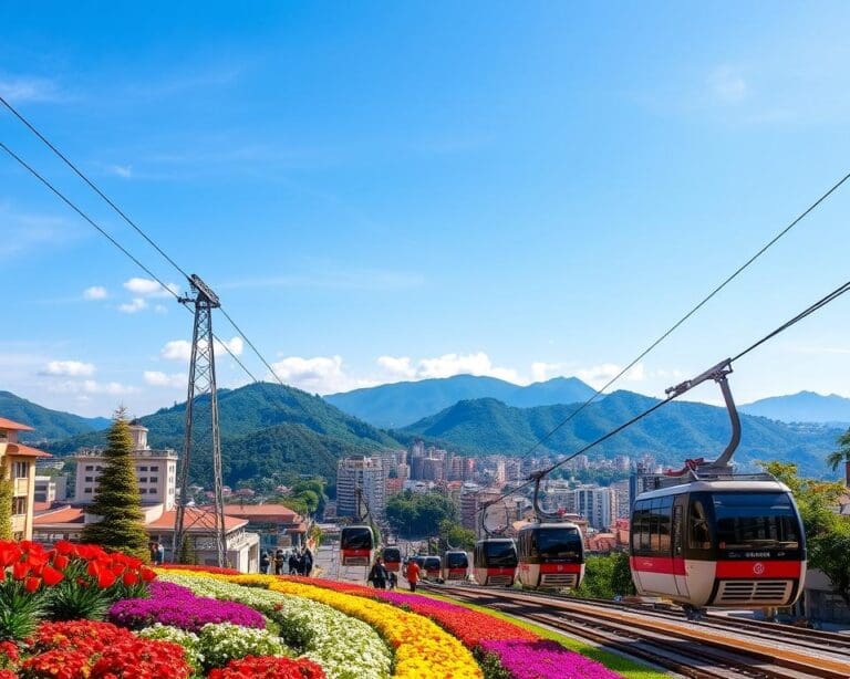 Medellín: Blumenfest erleben und auf Seilbahnen blicken