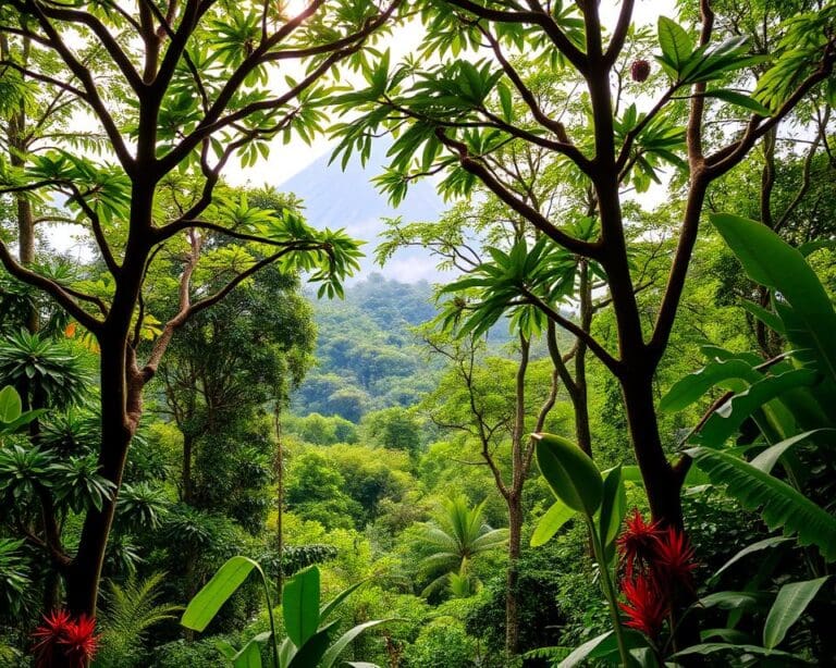 San José: Regenwälder und Vulkan Arenal entdecken