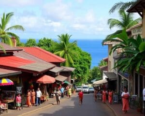 Suva: Fidschianische Kultur und die Hauptstadt erleben